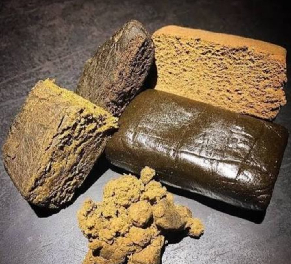 TugaTube tweet media