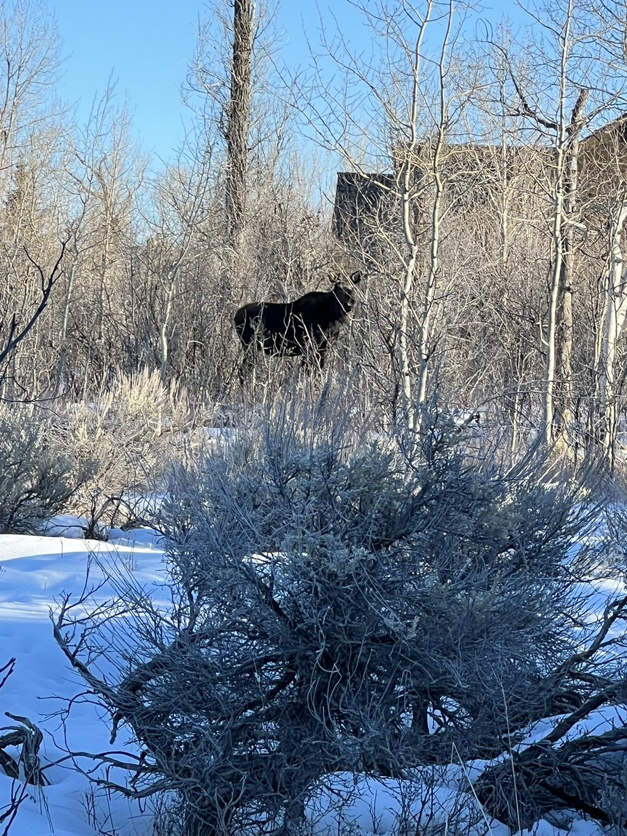 BrulockGaming tweet media