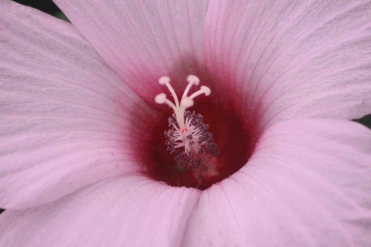 Jim Brown tweet media