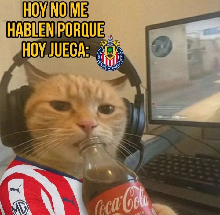 Hoy juega el amor de mi vida.