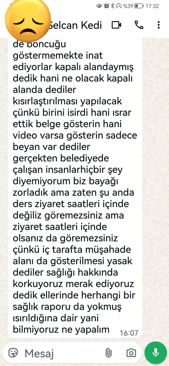 bq_cat's tweet photo. @mustafabozbey Nilüfer belediyesi yasa iptaline rağmen usulsüz toplama yapıyor. Kafasına göre belge göstermeden sadece beyan var diyerek yıllardır kediler de dahil hiç bir canlıya zarar vermeyen mahallemizin çocuklarını alıyor.  Bu saatten sonra ne CHP tanırız ne bozbey ne Şadi @NiluferBel https://t.co/p0IQ6LrZR5