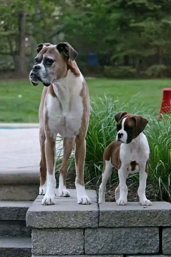 Awesome! We need 99 hellos!! Thank You!!! 📸💐