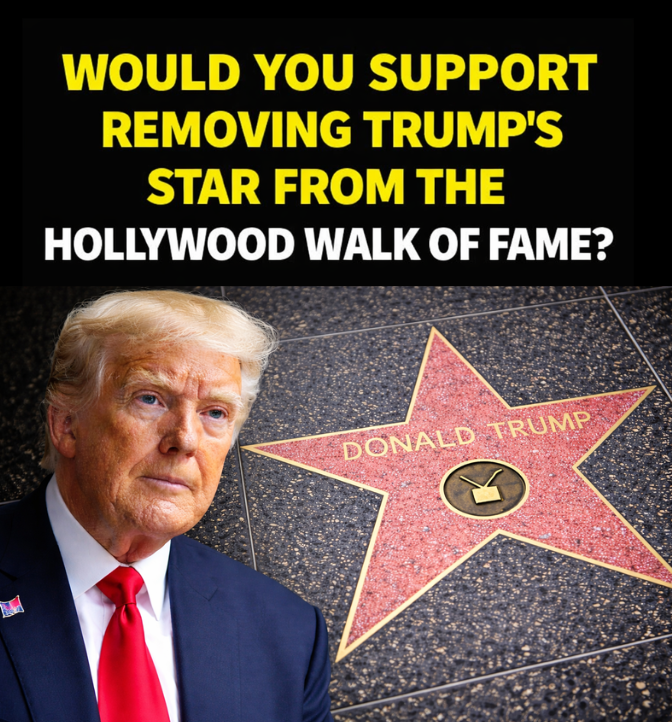 _TheBlueTorch's tweet image. ✋🏻