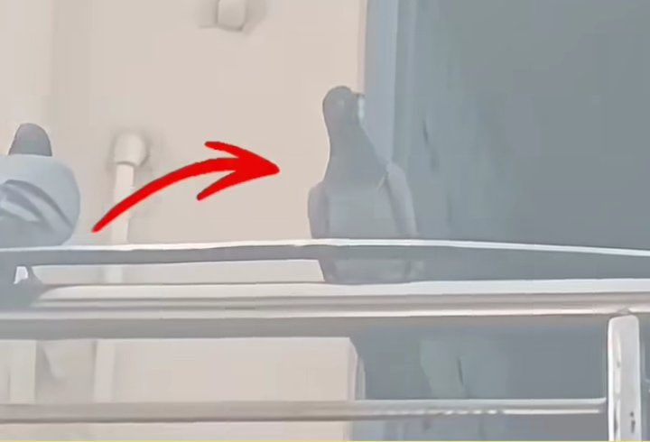 Mukesh Meena tweet media