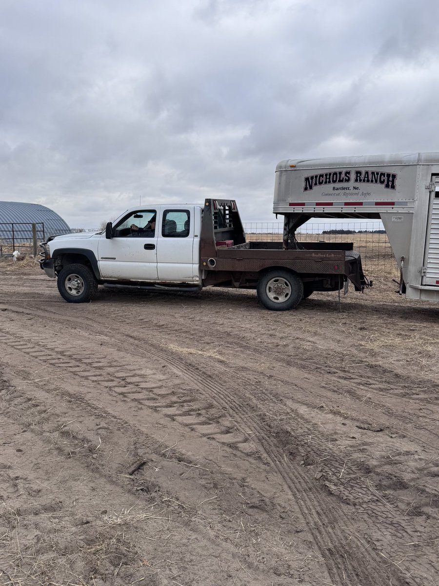 Courtney Koinzan tweet media