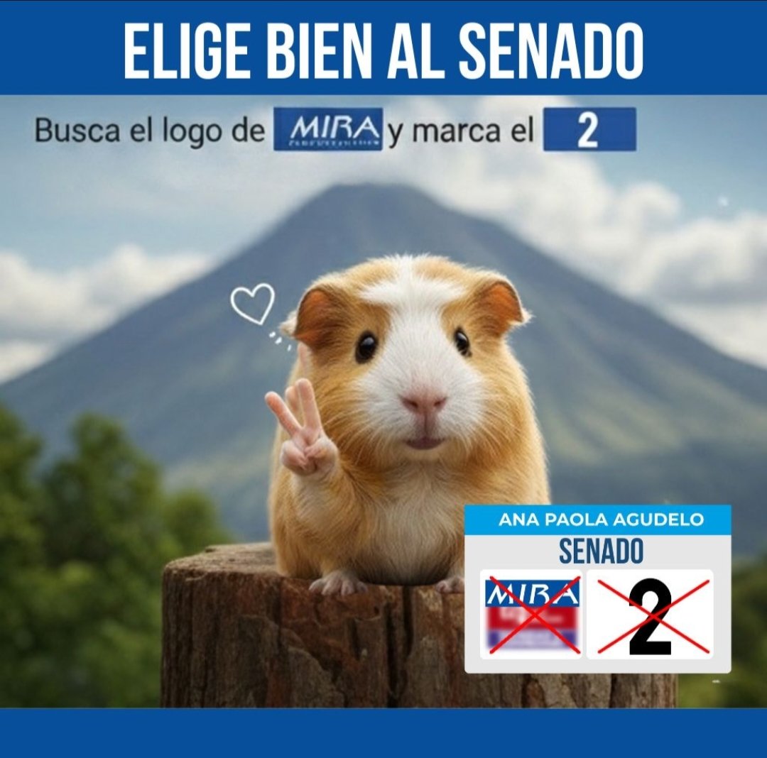 MariaPastora_p's tweet photo. Este 8 de marzo, vota con el corazón 
Votar es sencillo, pero hacerlo con valores lo cambia todo.
Senado: MIRA #2 – @AnaPaolaAgudelo
Cámara: MIRA #102 – @_nathaliarodriguez https://t.co/Hk23oPgAzl