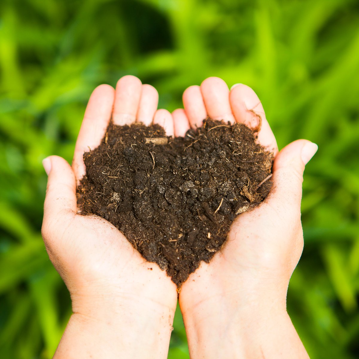 The solution to revitalize soil is to bring back at least 3-6% organic matter in the Soil.
#Savesoil
Learn more at Savesoil.org