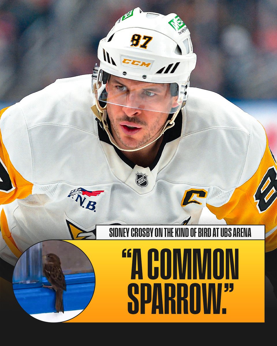 We are not experts on birds, but we think Sid is right. 🐦

(via <a href="/PensInsideScoop/">Pens Inside Scoop</a>)