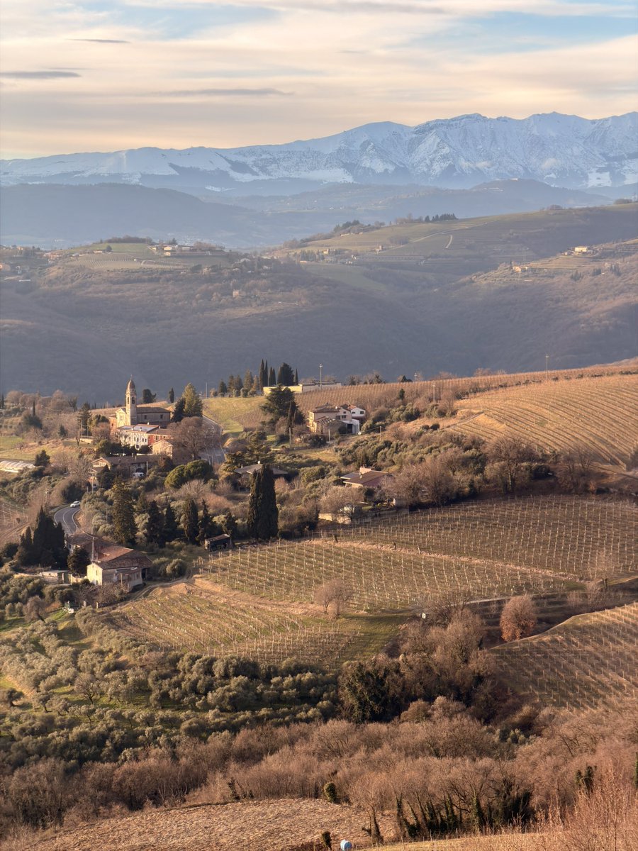 CaBottaVini's tweet photo. Hey friends! 🌅🍷 These golden Valpolicella sunsets are unreal in person—come see! Swing by Tenute Ca’ Botta for a chill vine walk, cellar peek, and tasty Amarone/Ripasso lineup. Epic views, great wine, we’d love to host you 😊 🍇 #Valpolicella #WineTasting #cabotta https://t.co/Bd3Utgrh1F
