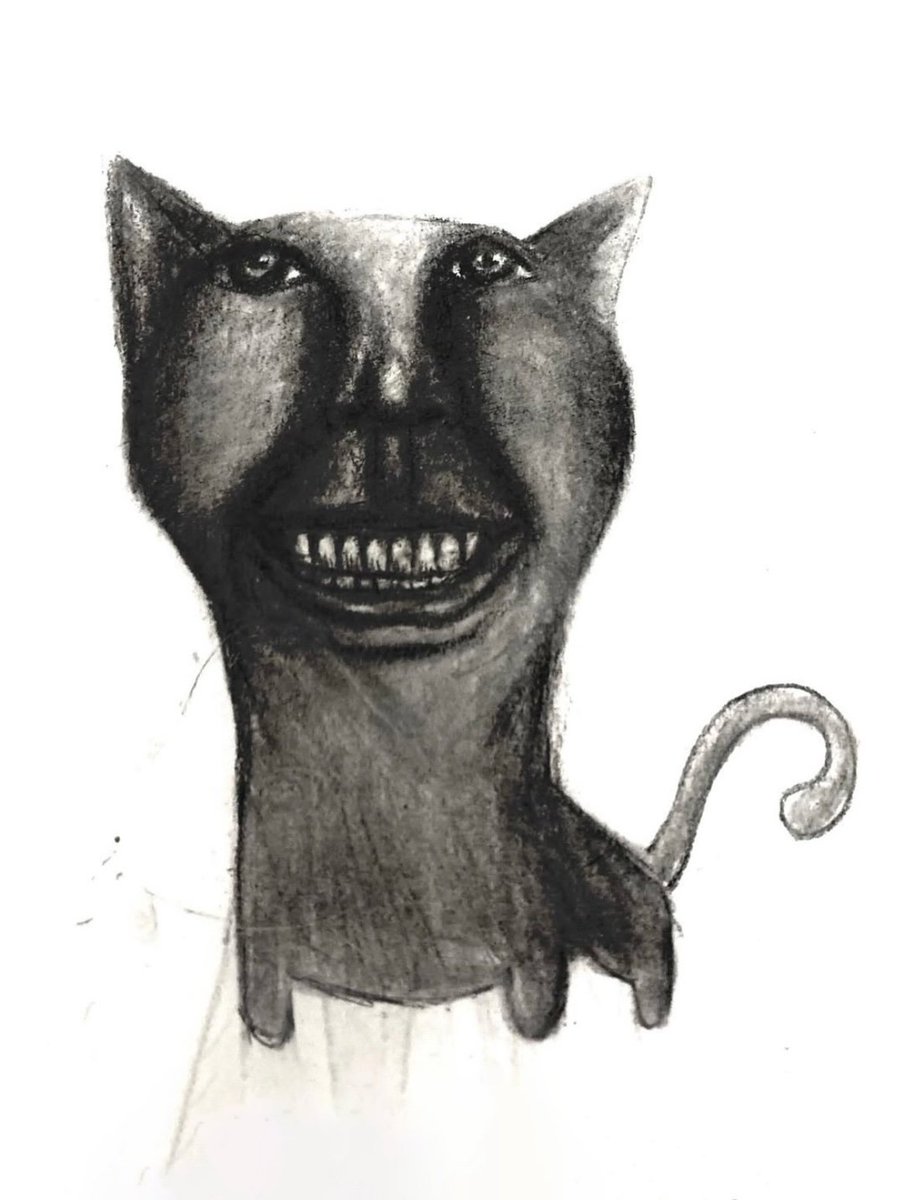 쭈니쭈니 tweet media