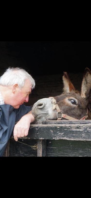 PeterWrightVet tweet media