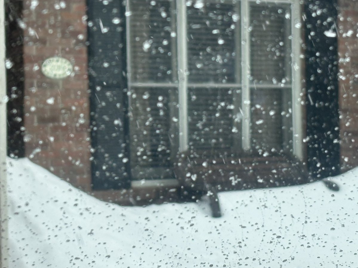 Donna Pace Baker tweet media