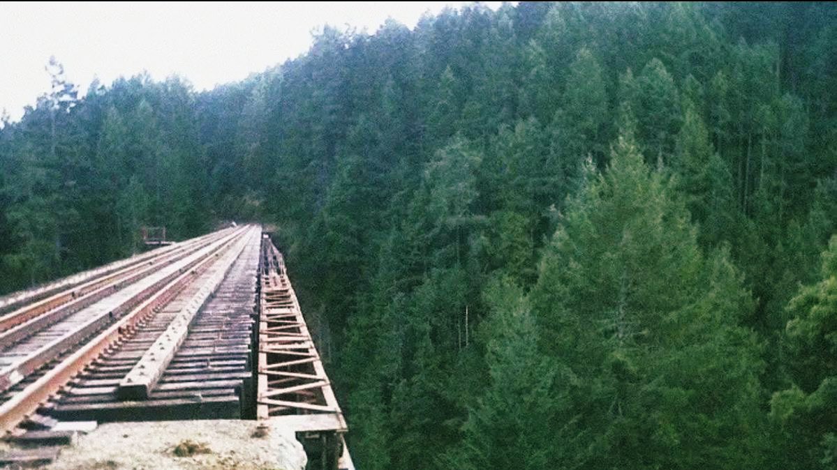 rositascrossbow's tweet photo. the walking dead core https://t.co/Ois2FuelTj