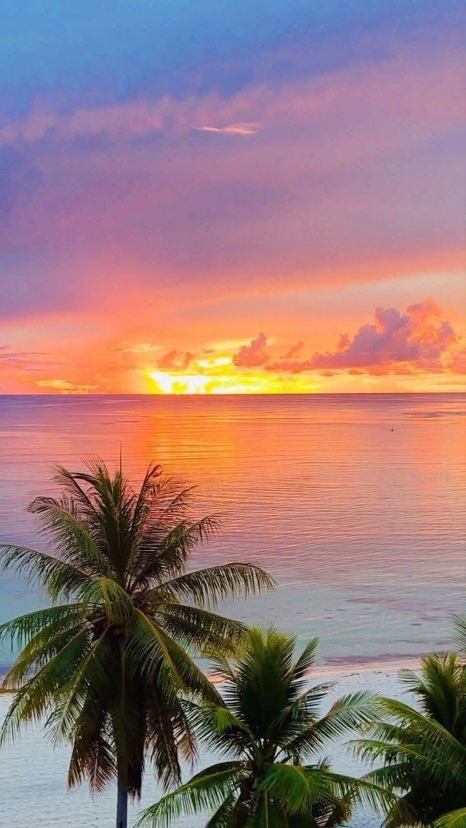AvellarPaulo's tweet photo. Sometimes the world’s perfect … https://t.co/gEzwFL9hR4