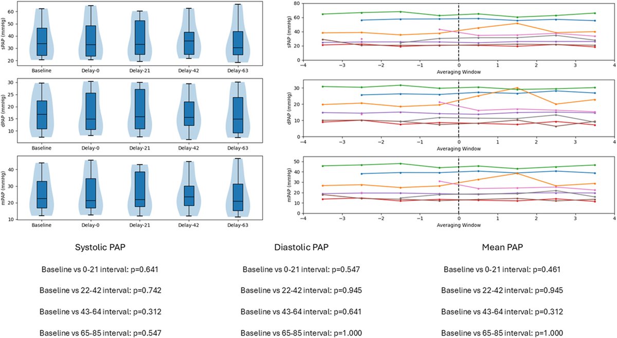 Ilan Richter tweet media