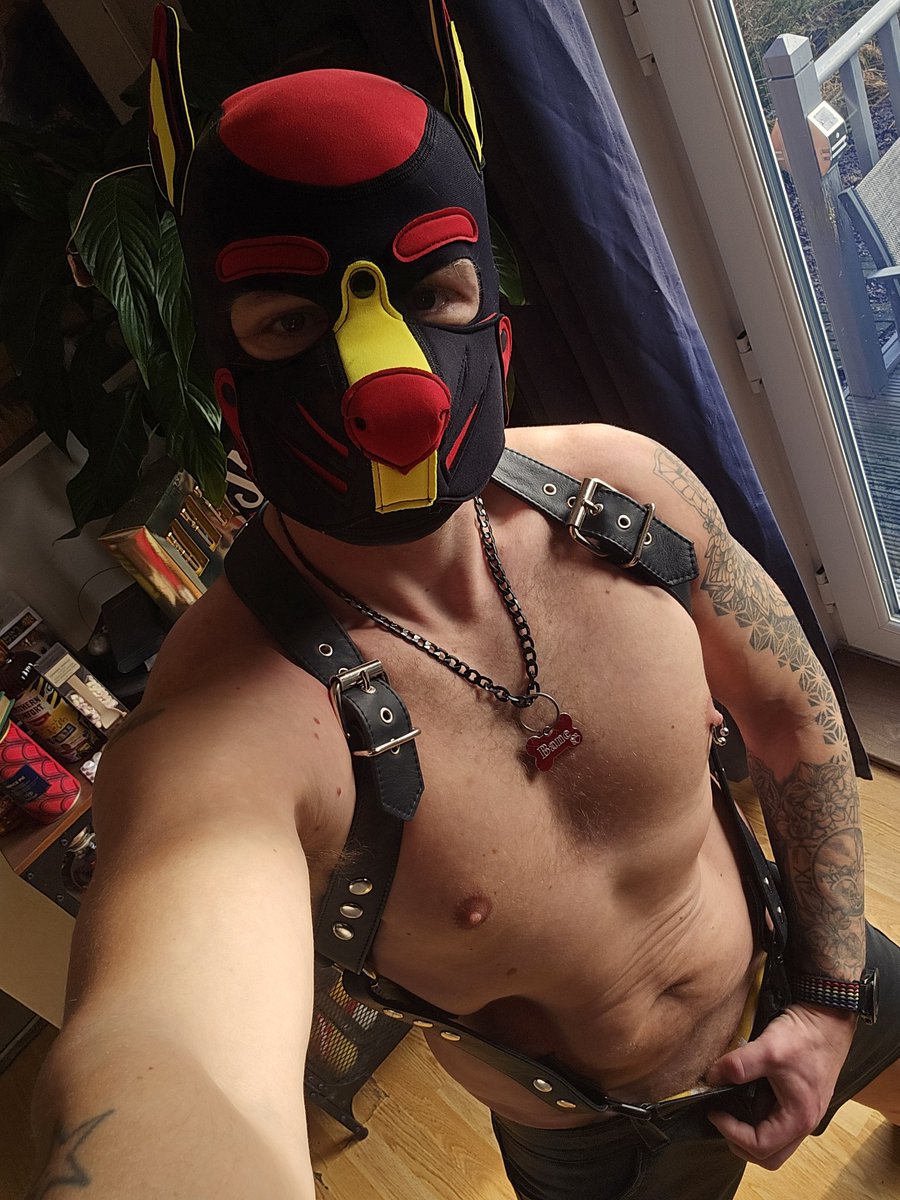 Alpha Himbo Rubber Pup Bane tweet media
