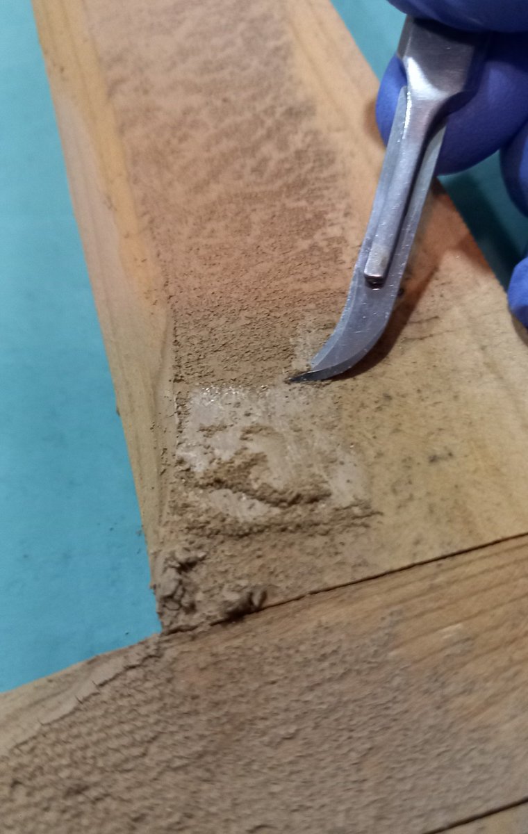 Lu Ricone #TrolAbstracto tweet media