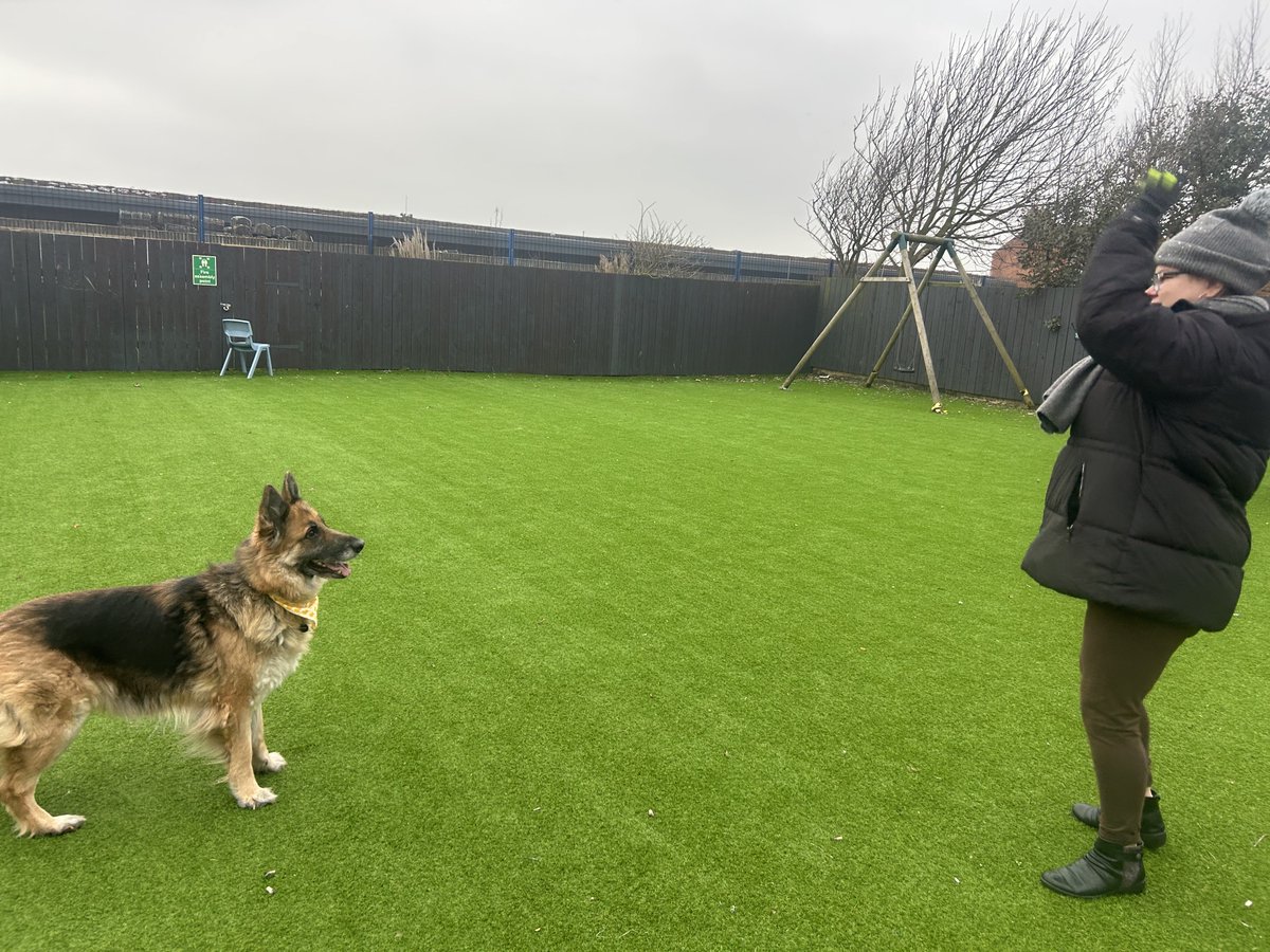 CascadeStiles's tweet photo. We had a visitor this week 🥰 Lilly came to offer cuddles, exercise and lots of love💗 #DogLovers #Autism #Inclusion #EmotionalVibes #FriendshipGoals #HealthyLiving https://t.co/afbwazOvNr