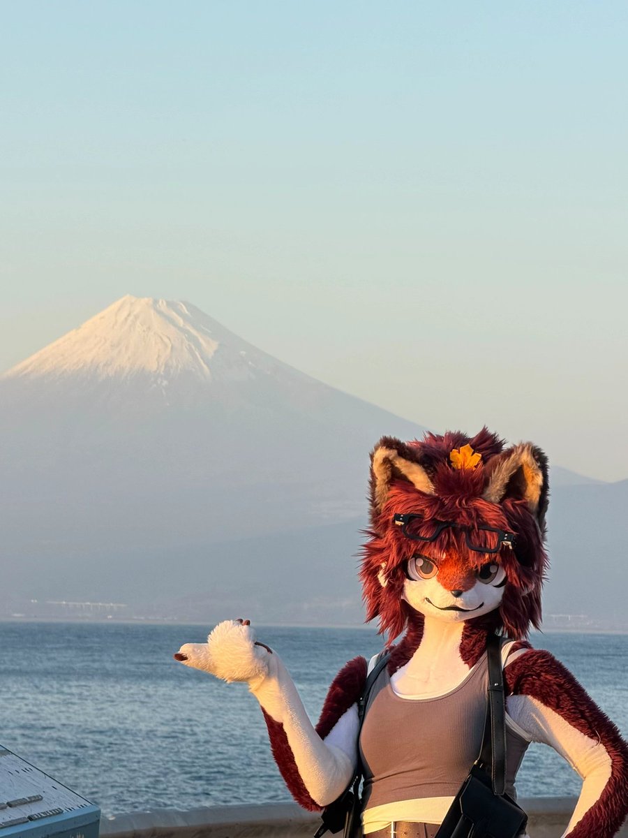 祈橘 ききつ🍁🦊➡️JMOF2026 tweet media