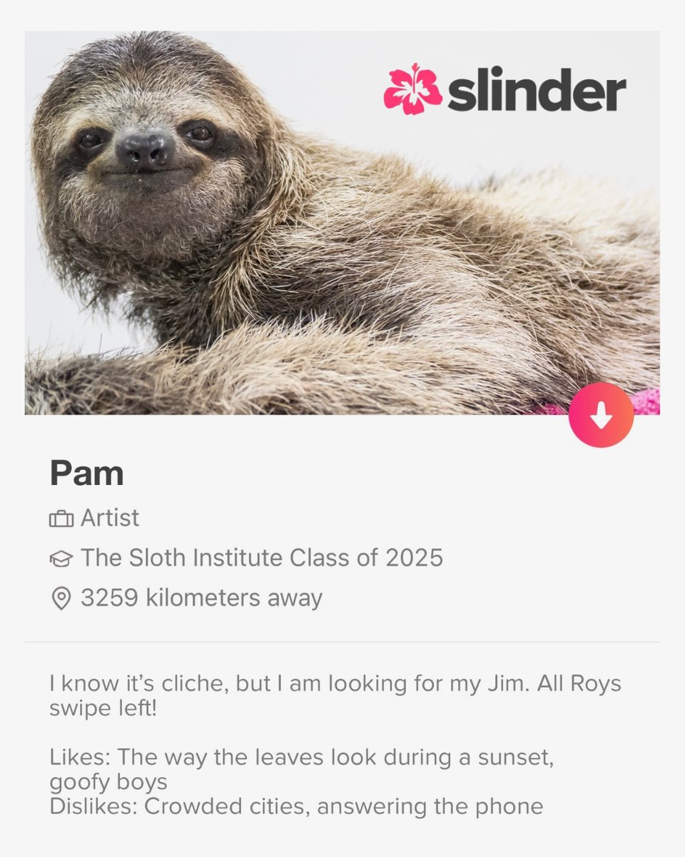The Sloth Institute tweet media