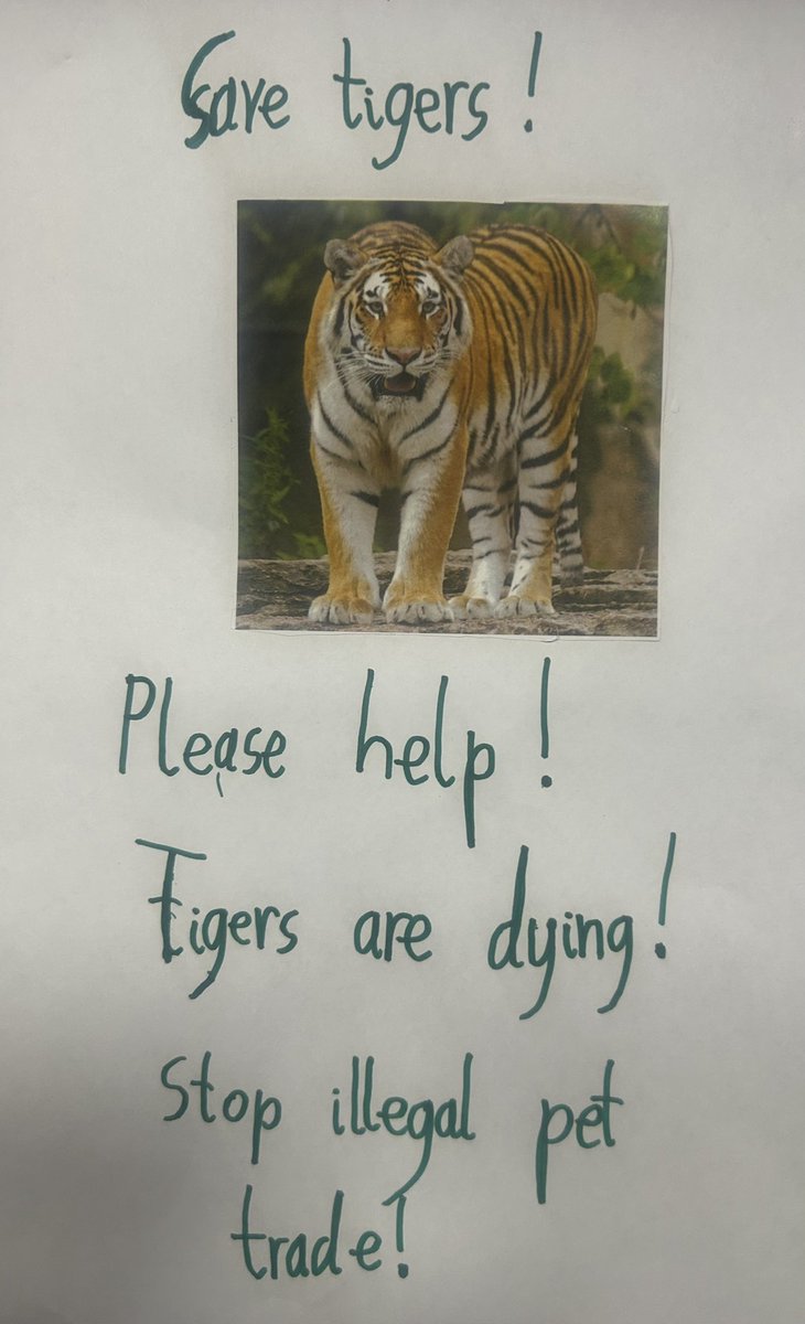 tankersleyspy3's tweet photo. We had a lot of fun today and really enjoyed learning about endangered animals as part of our special Green Day. https://t.co/L1WftSWYeH