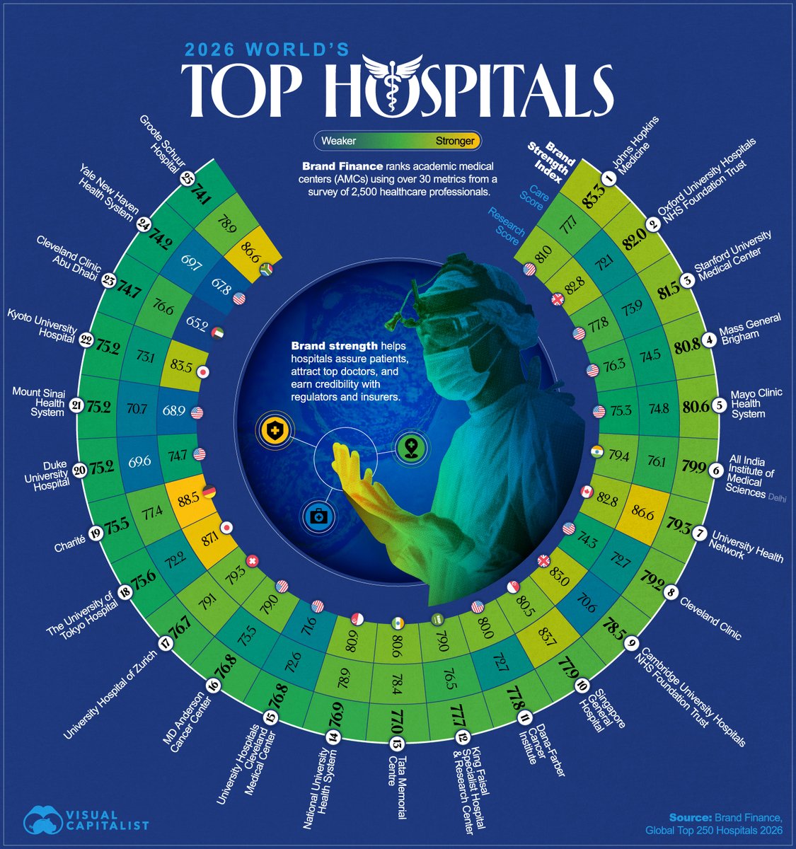 Visual Capitalist tweet media