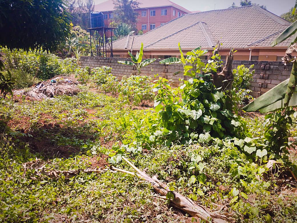 shukranproperty's tweet photo. Quick sale 🔥 🔥
Located In Kira Mamerito Road
Plot Size: 11 Decimals with land title
Selling Price at #47m Ugx
0706592177 https://t.co/eMeHl0mTvf