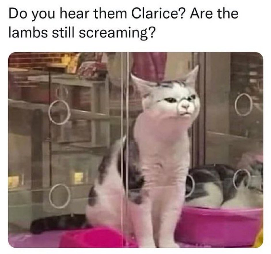 😂