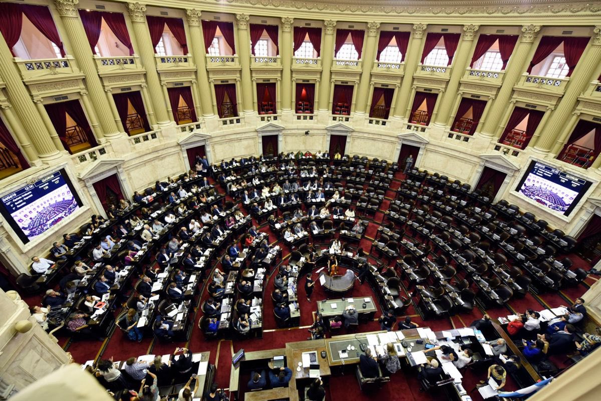 Que carajo esperan nuestros senadores y diputados para sacar un comunicado en defensa de nuestra compatriota detenida en Brasil? o para que mierda están? Para cobrar y aumentarse los sueldos nada mas?
