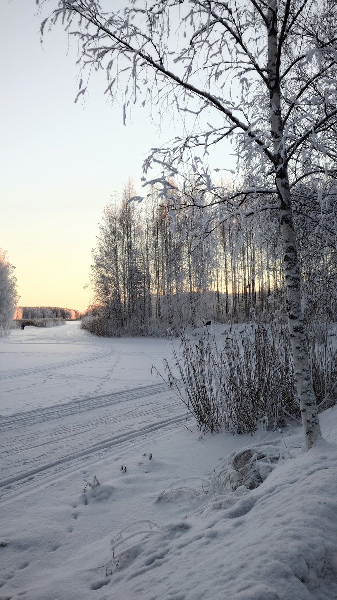 RNuutilainen's tweet photo. Uskomattoman upea on talvinen luontomme nyt, nautitaan siitä! 
Kaunista ja kivaa viikonloppua kaikille  🤍💙🤍 https://t.co/Iw23PXUIOH