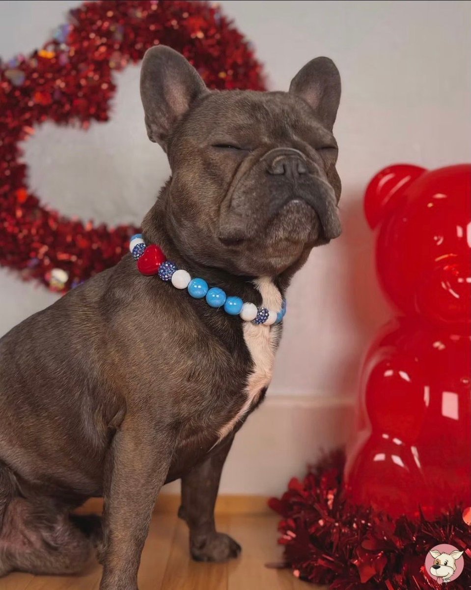 Sweet little details, big heart energy 💙🐾
The Love You Blue Beaded Collar by Dainty Paws adds the perfect touch of charm and sparkle to every outfit—because love looks good in every shade of blue ✨
Shop Now:
💻poshpuppyboutique.com

#PoshPuppyBoutique #Doglover #DogBoutique
