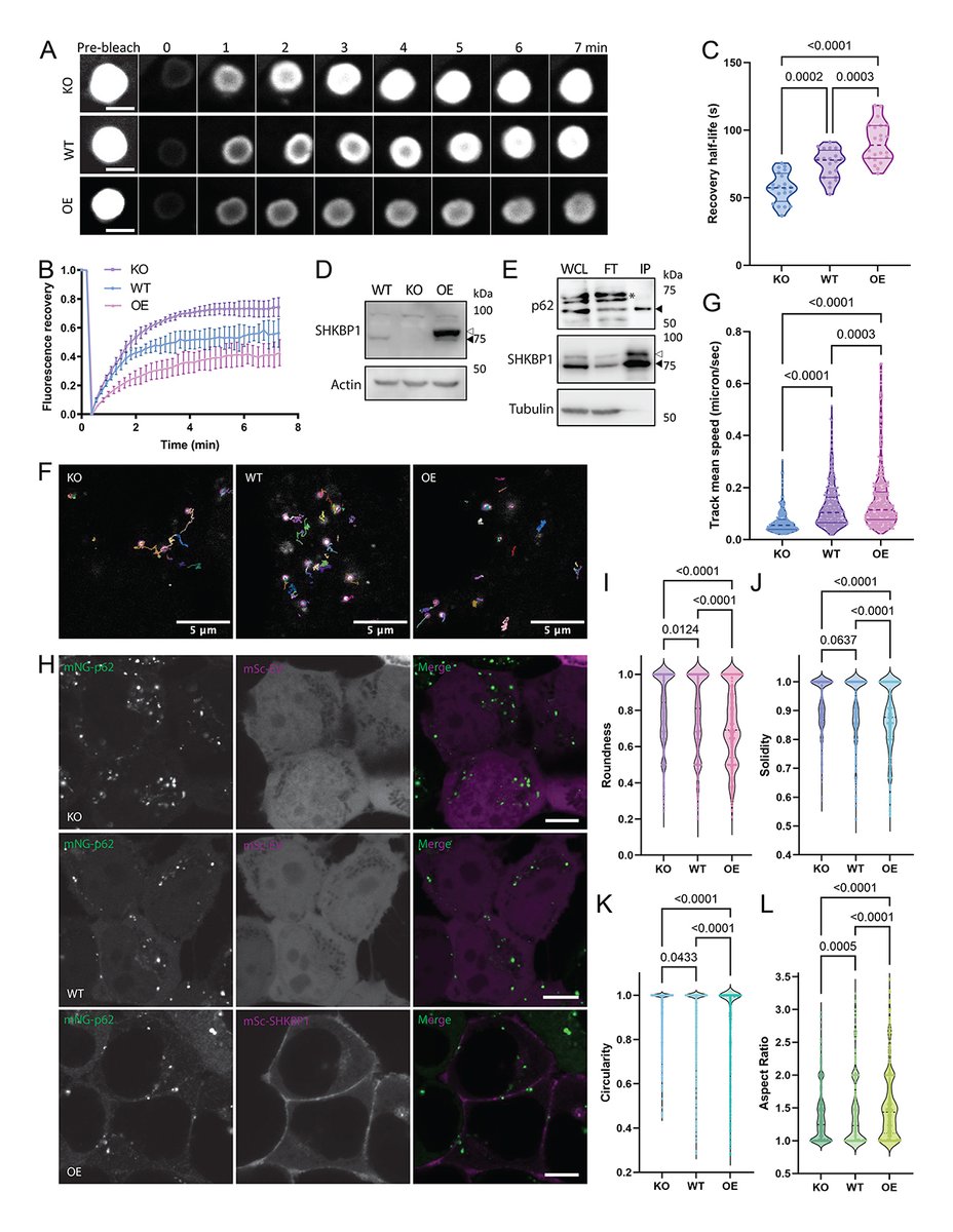 Journal of Cell Biology tweet media