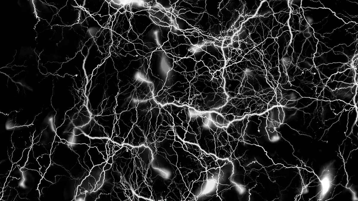 CAMH Research tweet media