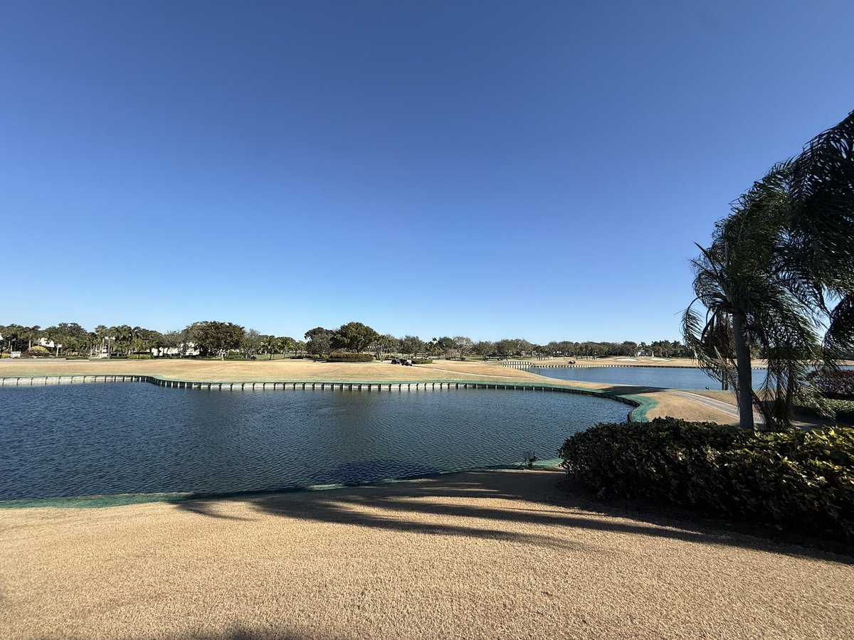 Michael Shea tweet media