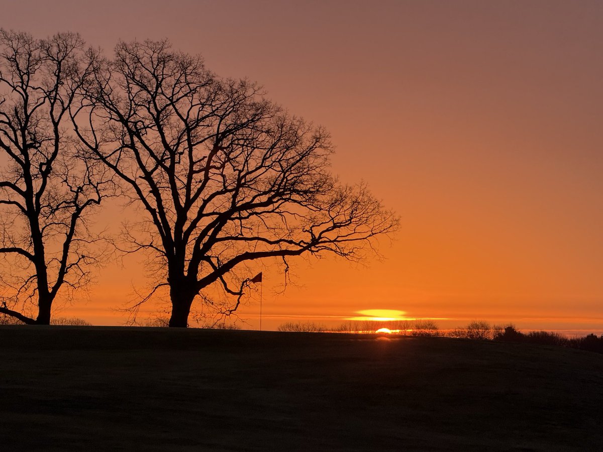 Eric Morrison tweet media