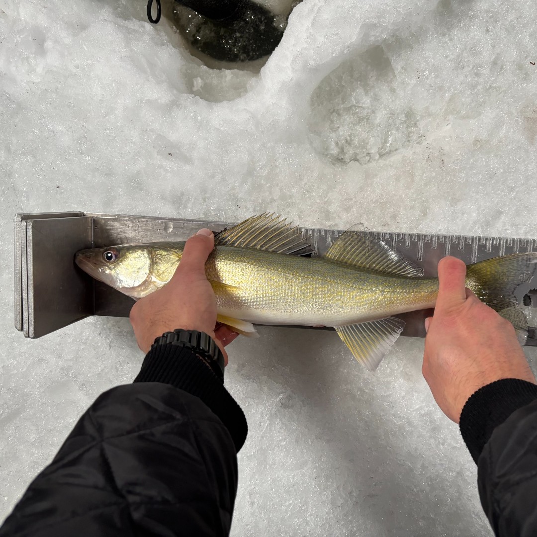 mcamanitoba's tweet image. Welcome Prairie Pole to MCAM! 

They crafted the bump boards for the Next Gen Ice Fishing Derby.

#MCAM #MCAMMember