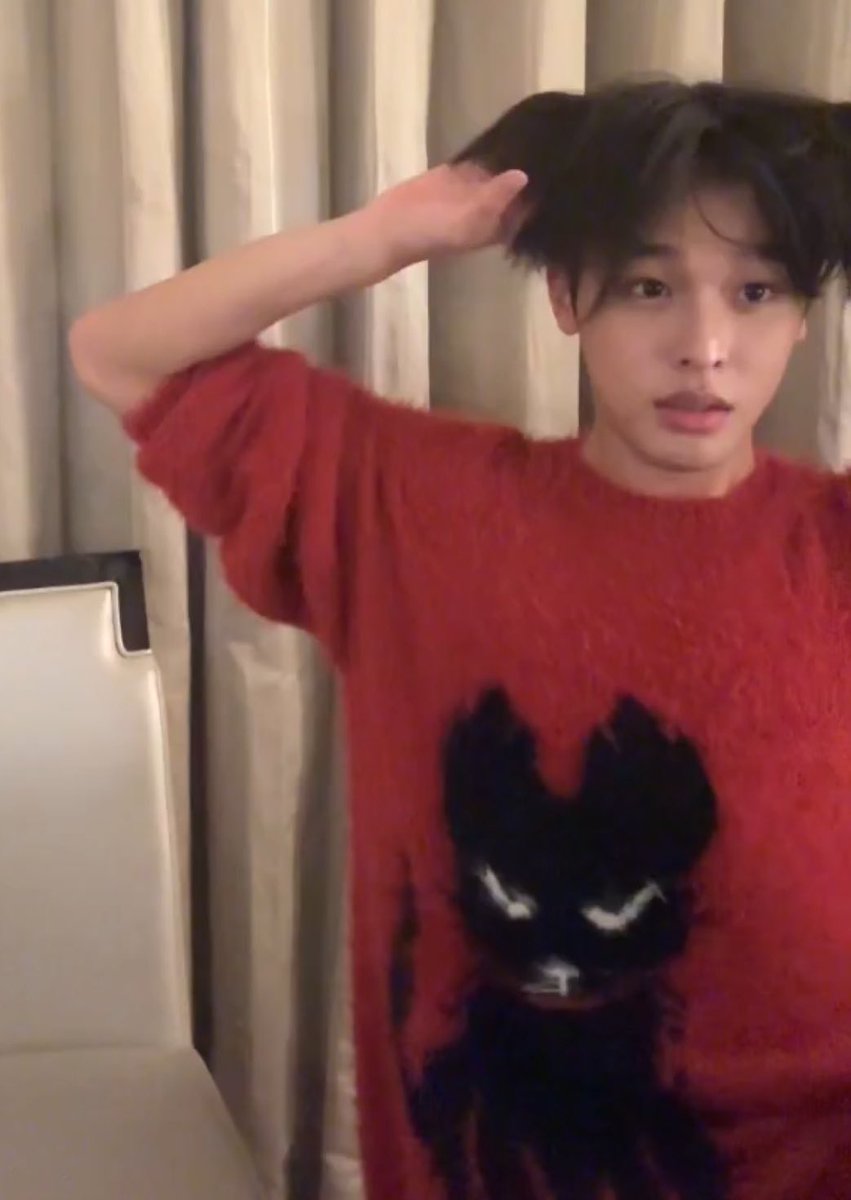 리쿠 눈썹보이면 시바견...🖤🖤🖤