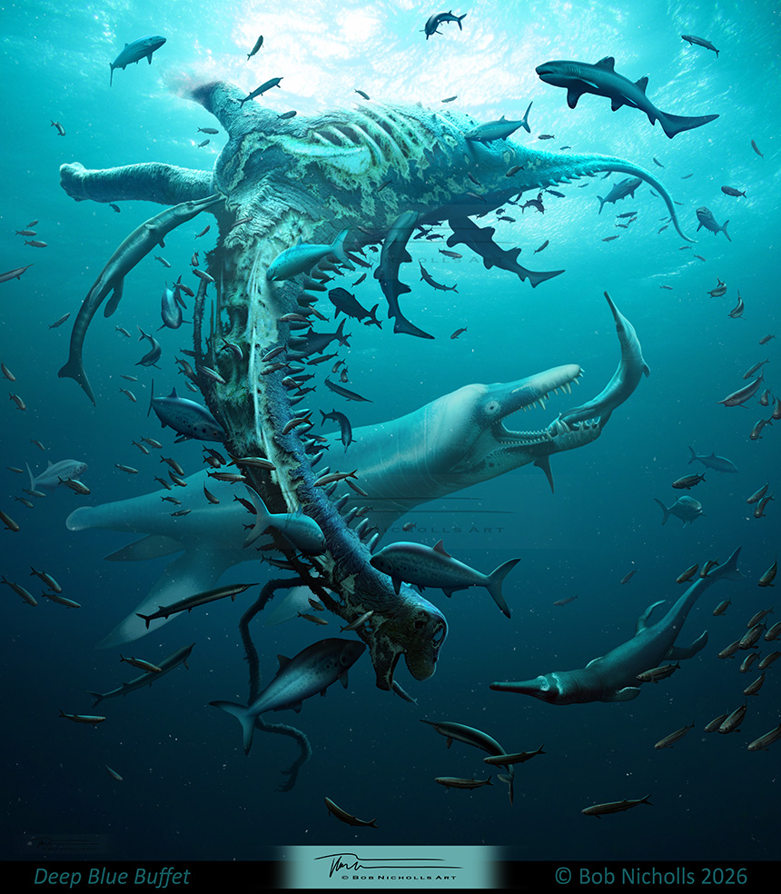 TEC_Kimmeridge's tweet photo. Palaeoartist Bob Nicholls is currently working away on a few designs for us. These will become part of our story telling repertoire, here is a preview of one the completed designs. Join us 8/4/26 to discover more of Bob's work.
https://t.co/Td9laTj633 https://t.co/ZZaUBWaYl9