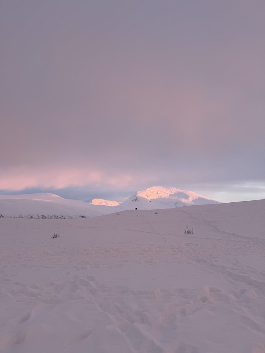 Muotaibi0's tweet photo. 🌅❄️ https://t.co/qDKVSJ64nV