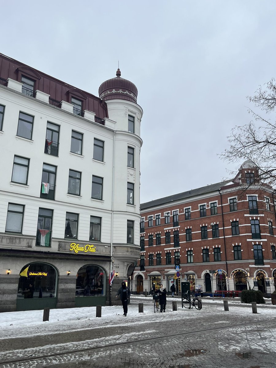 Nassreddin 🍉 نصر الدين tweet media