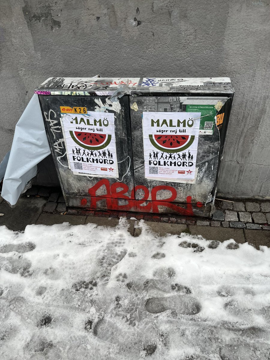 Nassreddin 🍉 نصر الدين tweet media