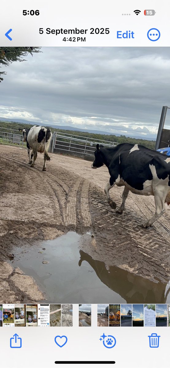 rattycastle's tweet image. Well just what you want on a cold miserable day ! More misery  another 1p of the price of a litre of #dairymilk
#Lanchester #dairy its sells in our local shop for £1.55 lwe will now get 30p ! #whoismilkingwho @FarmingUK