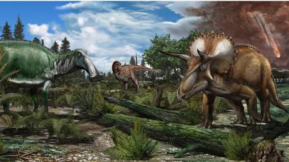 the last time “just run outside” andys have gone on a run