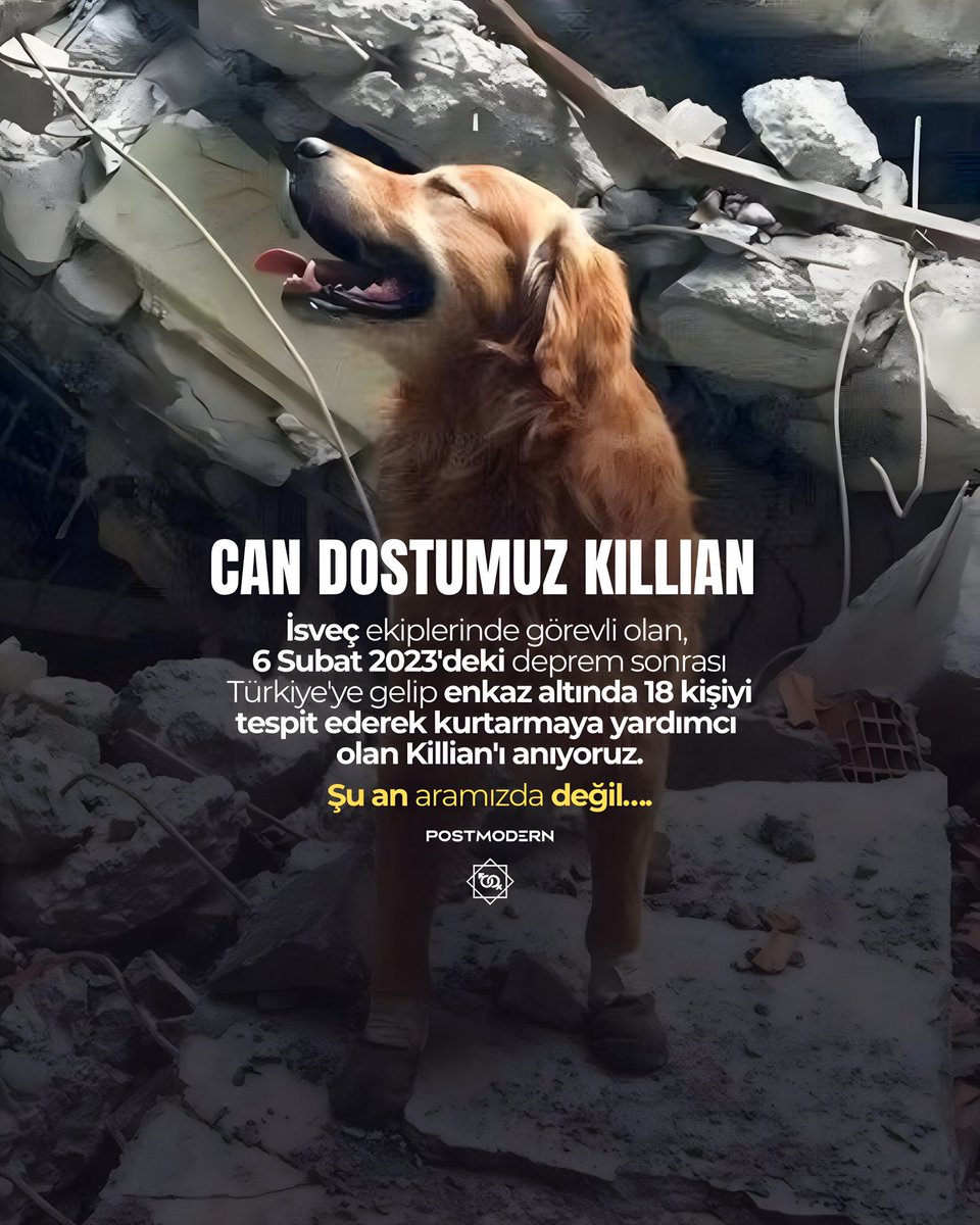 CAN DOSTLARIMIZI UNUTMADIK — Depremlerde; can kurtaran, hayatını kaybeden, tüm can dostlarımız… Hepsini saygı ve minnetle anıyoruz. #6Şubat2023 

I — KILLIAN • İsveç ekiplerinde görevliydi. 6 Şubat 2023 depreminin ardından Türkiye’ye gelerek enkaz altında 18 kişiyi tespit edip