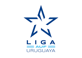 COMIENZA EL CAMPEONATO URUGUAYO

Si señores hoy 6 de febrero comienza el Torneo Apertura 2026.

El primer partido de este torneo será Albión vs Liverpool a las 19:00 en el Estadio Luis Franzini.  

Ademas se jugará un Wanderers vs Defensor Sporting a las 21:30 en el Parque Viera.
