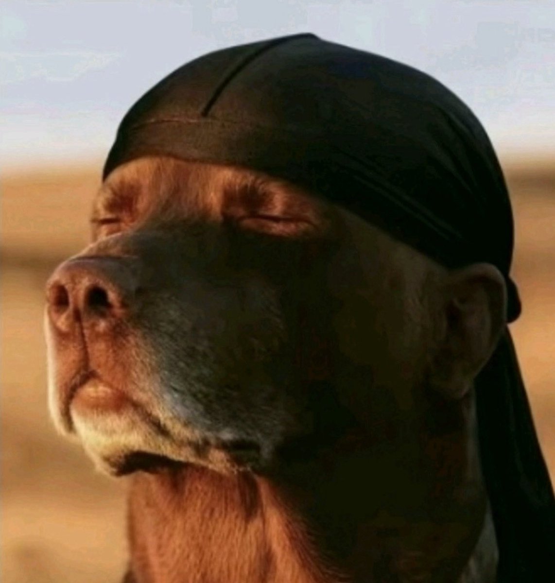 samson_samsen's tweet image. Nobody has the subtle art of not giving a fuck more than a Nigerian okada man that is not going your direction after 10pm.  E no go even do like say human being dae follow am talk.

You: okada, ogolonto.. 

Okada man: 👇