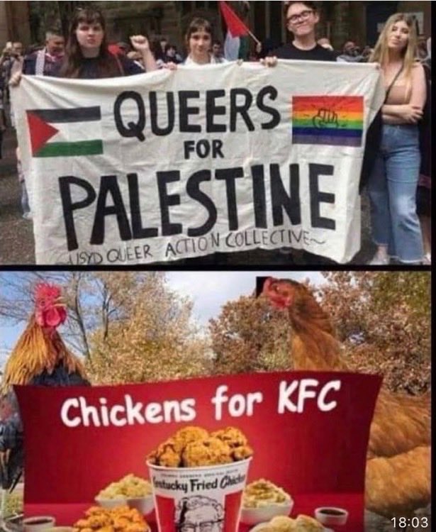 😂 😂