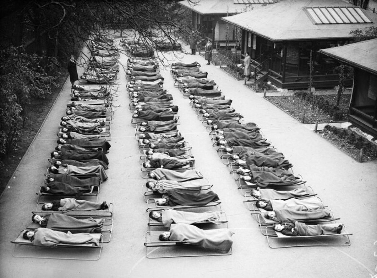 Ryan Mitchel Brown 🥩🔥☀️ tweet media