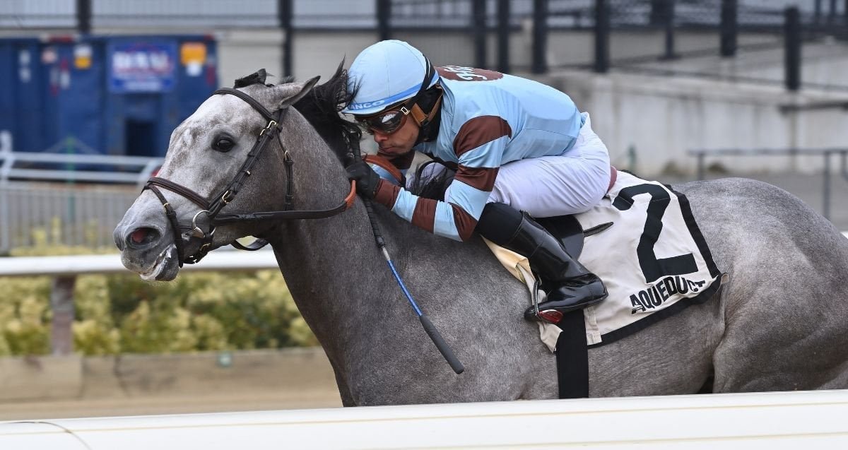 JoeQuills's tweet photo. Quills Picks Winners – Friday 2/6 – Ruthless Stakes; Schoolyardsuperman in the Withers (AQU 8 & 10) https://t.co/KN9wFGrClx #BleacherBrothersRacing #HorseRacing #OurStable #QuillsPicksWinners https://t.co/WO1qGSbxVM