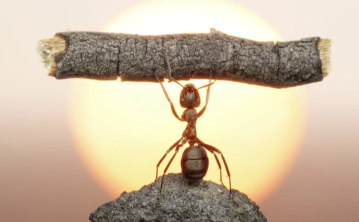 Spend a little to get a lot  - the importance of supporting independent content creators 
open.substack.com/pub/jessienewb…